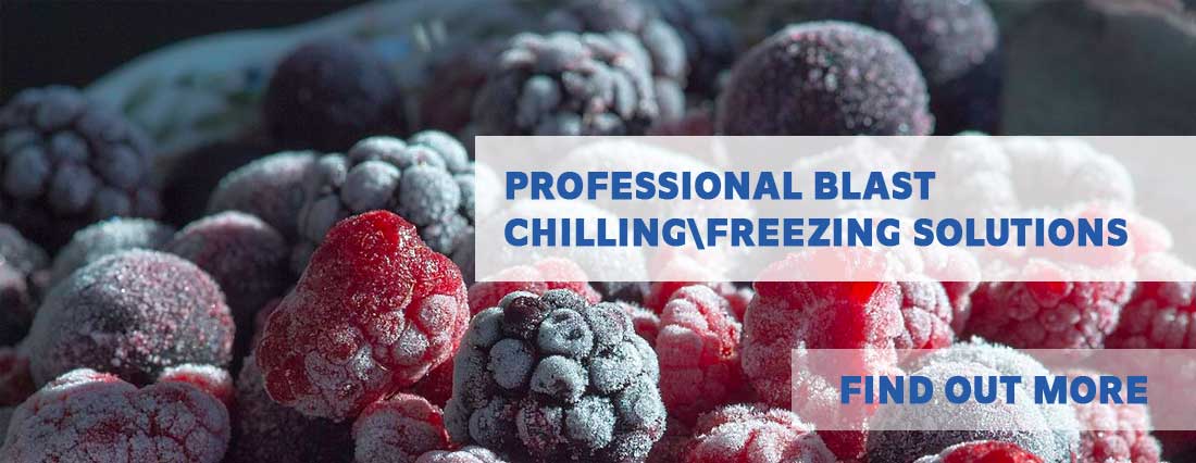 Blast Chiller and Freezer